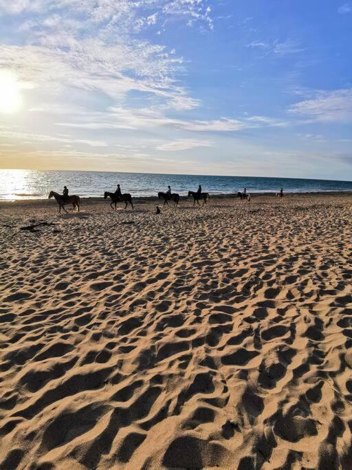 Studio De La Mer A Donville Les Bains エクステリア 写真