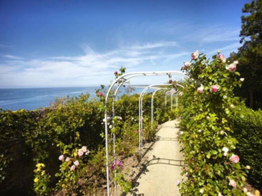 Studio De La Mer A Donville Les Bains エクステリア 写真